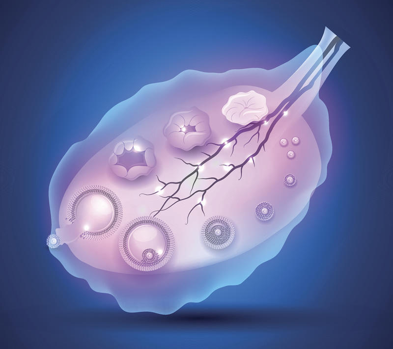 上海三代试管婴儿排名医院介绍